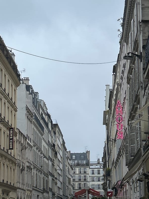 Paris street scenes show neon signage, shopfronts near afternoon