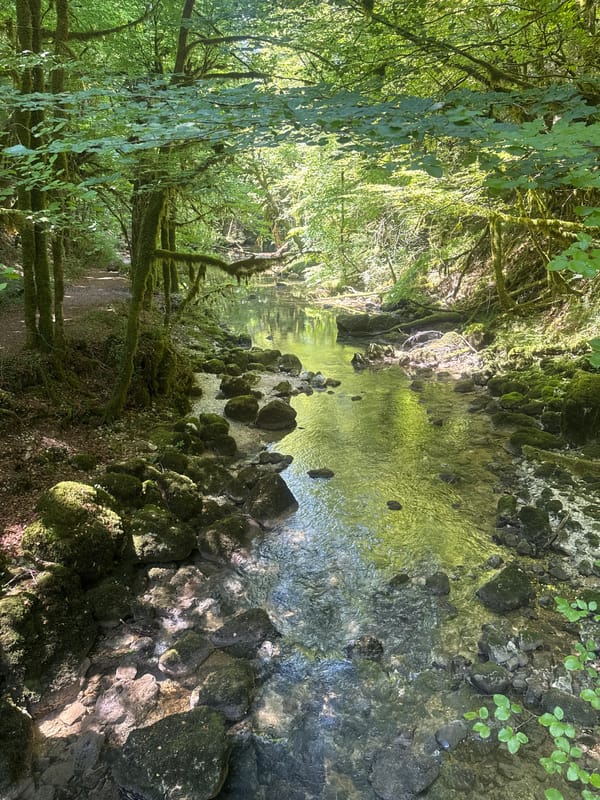 Morning at the Cascades du Hérisson waterfall trail