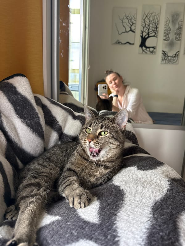 Morning domestic scenes: tabby cat and yoga routine in Saint Petersburg