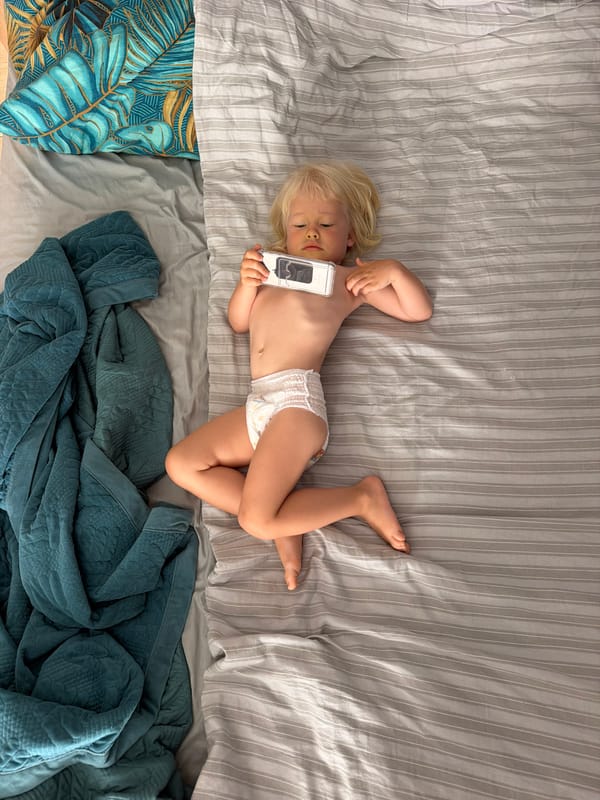 Sochi home morning: selfies, a toddler, and a grey cat