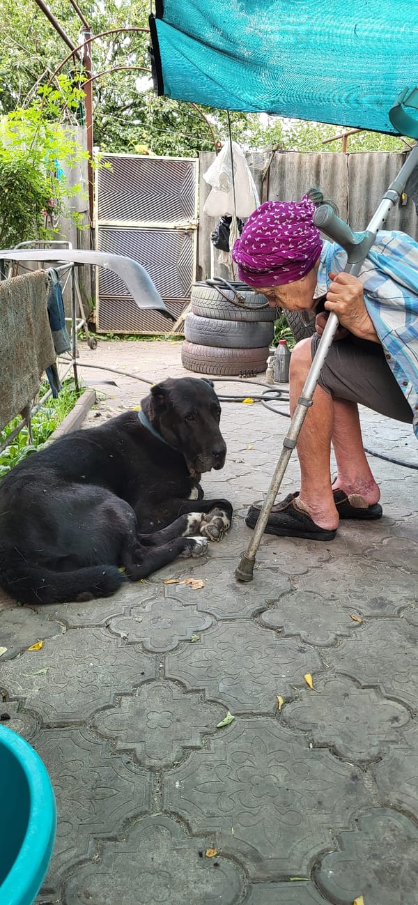 A still moment in Tetianivka: a resting figure and a dog.