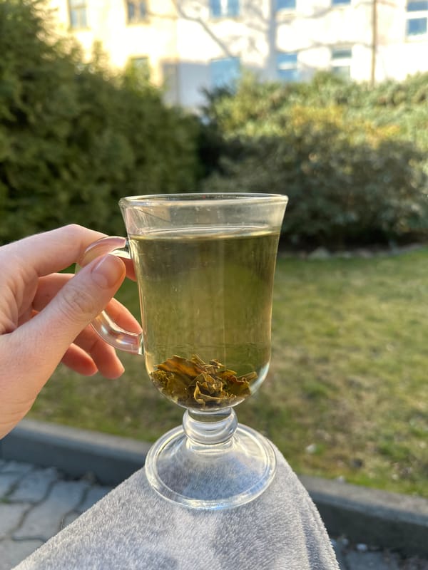 Morning tea moment captured in Riga, Latvia