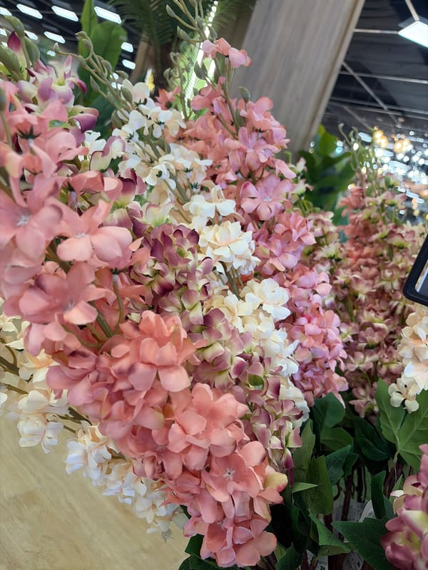 Browsing a décor shop and bakery, with plants and pastries