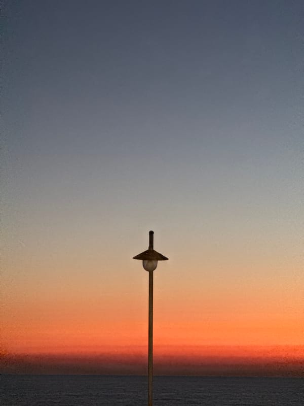 Sunset beach time in Bat Yam with a spotted dog