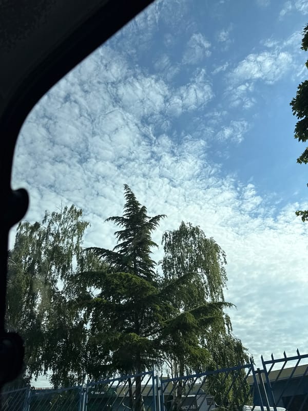 Morning drive through Varna captures everyday street scenes