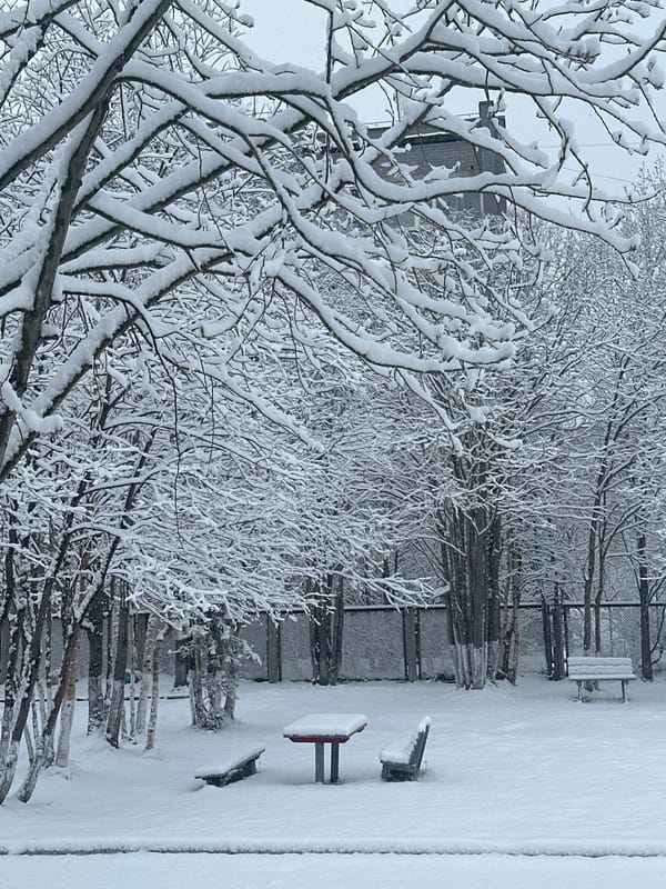 Urban snow conditions documented by witnesses early morning