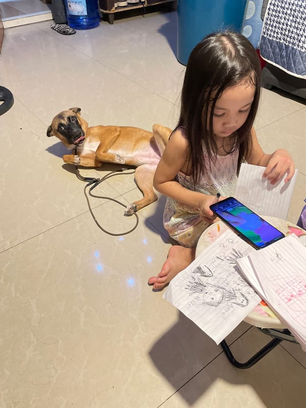 Lazy morning at home in Davao — dog, drawings, and a street cat