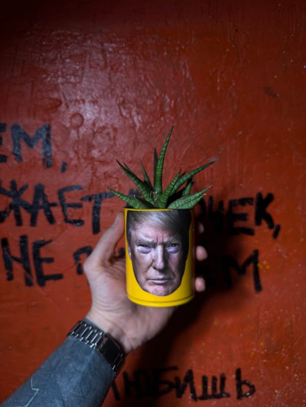 Moscow plant shop visit features celebrity-themed pots, Vizsla companion