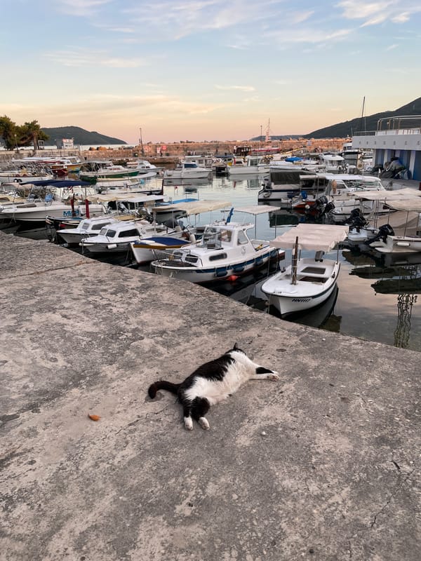 Sunset harbor views and mirror selfies in Herceg Novi