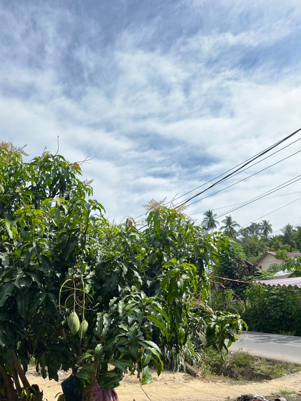 Morning street scenes documented in Lhokseumawe, Indonesia