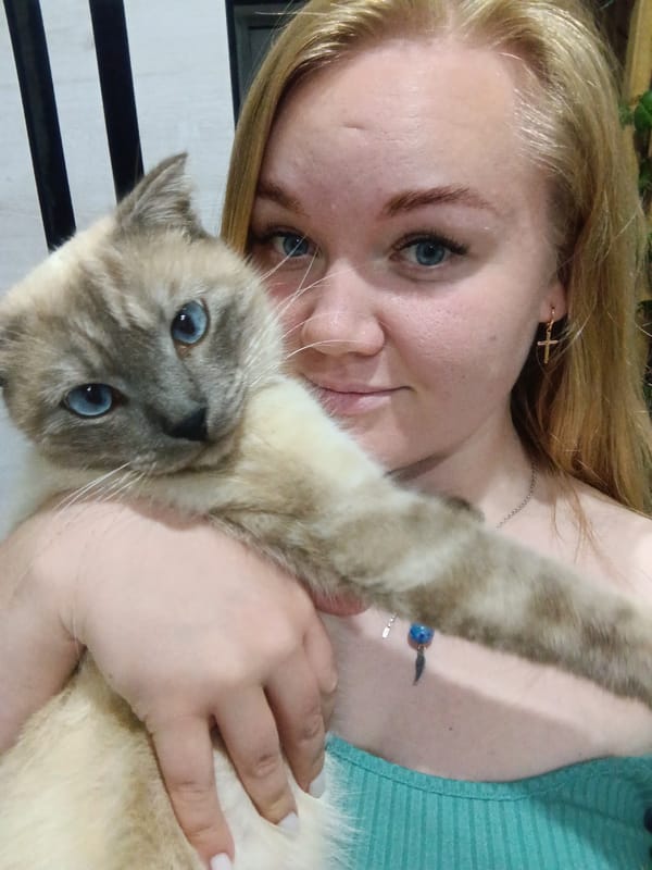 Afternoon selfie series in Фоки, Russia, cat included