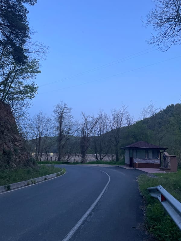 Curved road section documented in wooded Zlatograd area