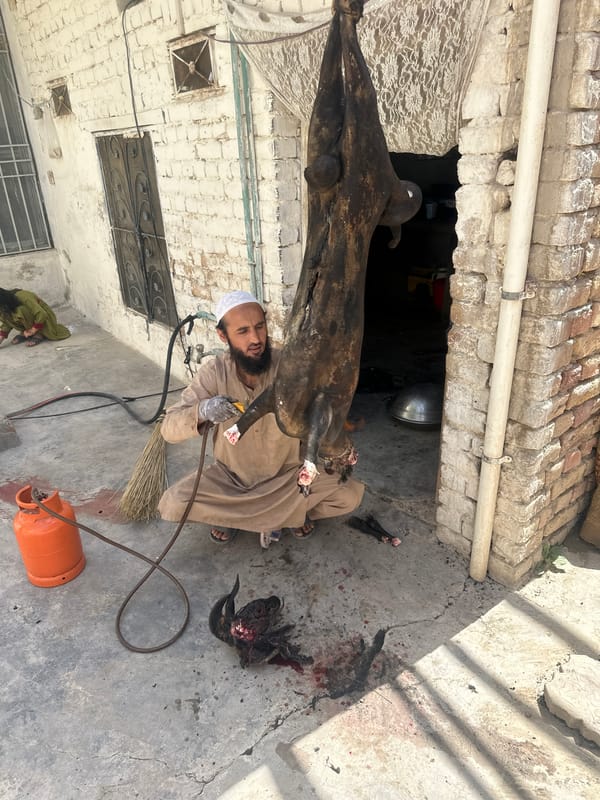 Traditional meat processing documented in Quetta courtyard