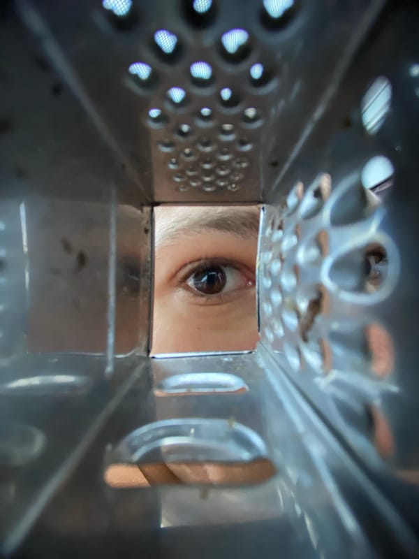 Eye photographed peering through cheese grater in Pleven