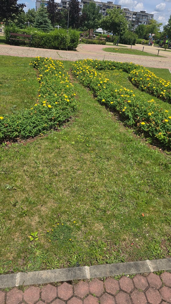 Morning park walk documented in Vratsa, Bulgaria