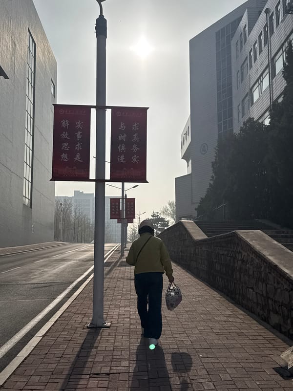 Evening pedestrians stroll near Liaoning University in Zhongtun