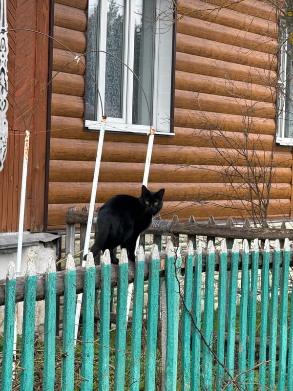 Family enjoys outdoor moments together in Красный Маяк