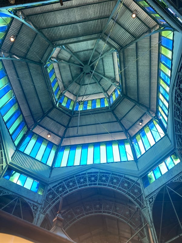 Buenos Aires resident captures palace architecture, quiet dog moment