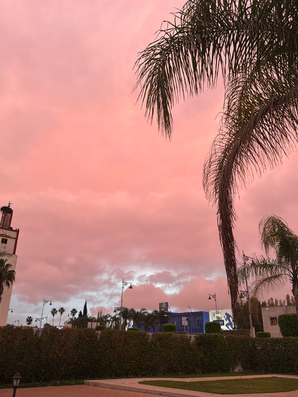 Pink sunset observed over Meknes, Morocco streets and palms