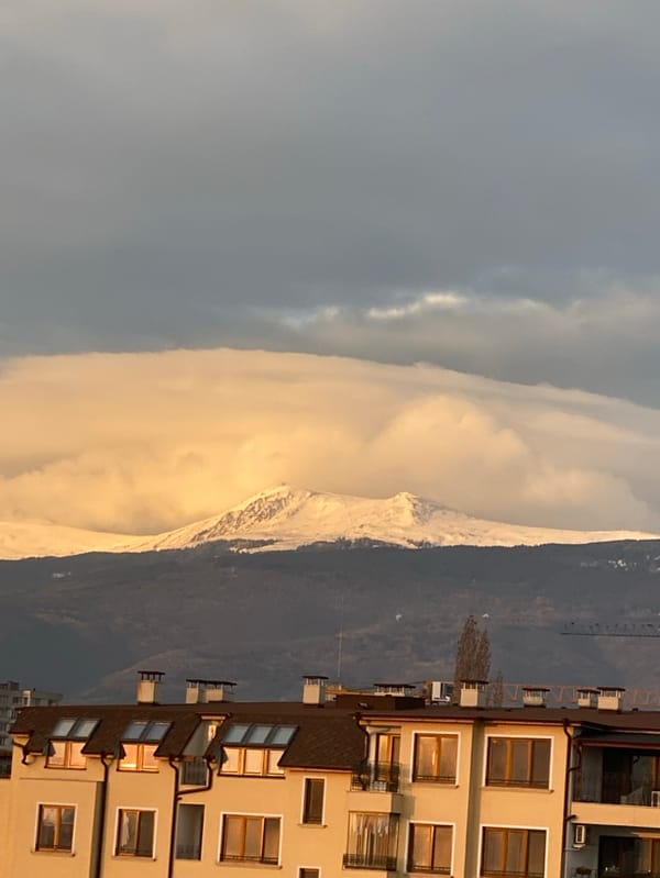 Early morning Sofia scenes feature mountain views and pet