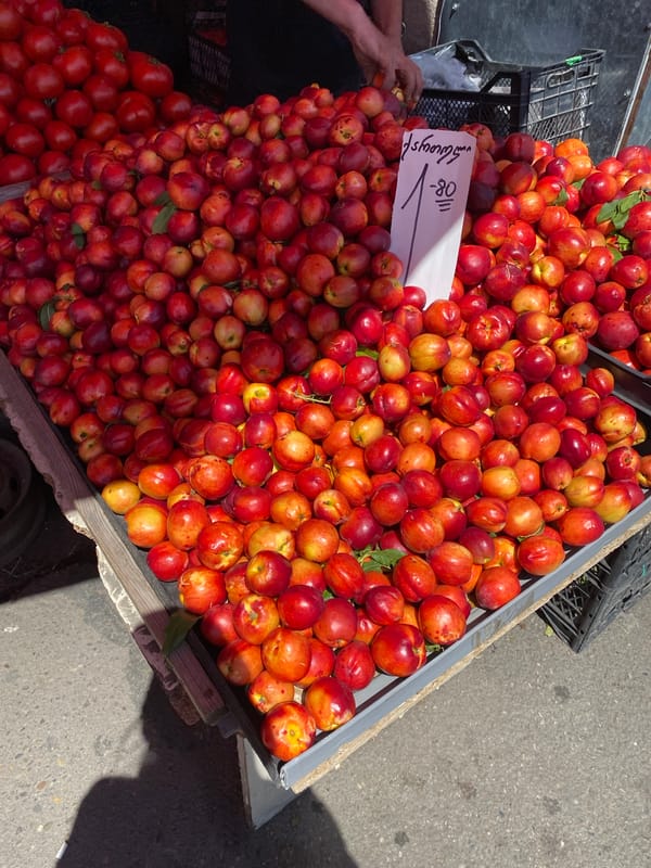 Tbilisi street market, stray animals, and summer produce