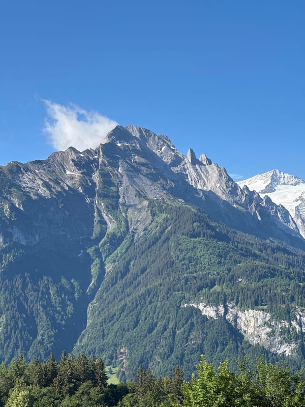 Morning documentation of Swiss Alpine village Hasliberg Reuti captured