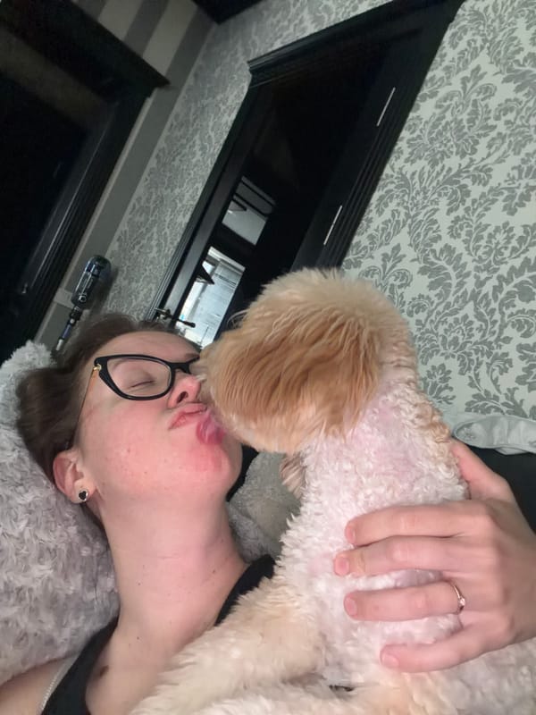 Cozy afternoon with small dogs in a Bila Tserkva home