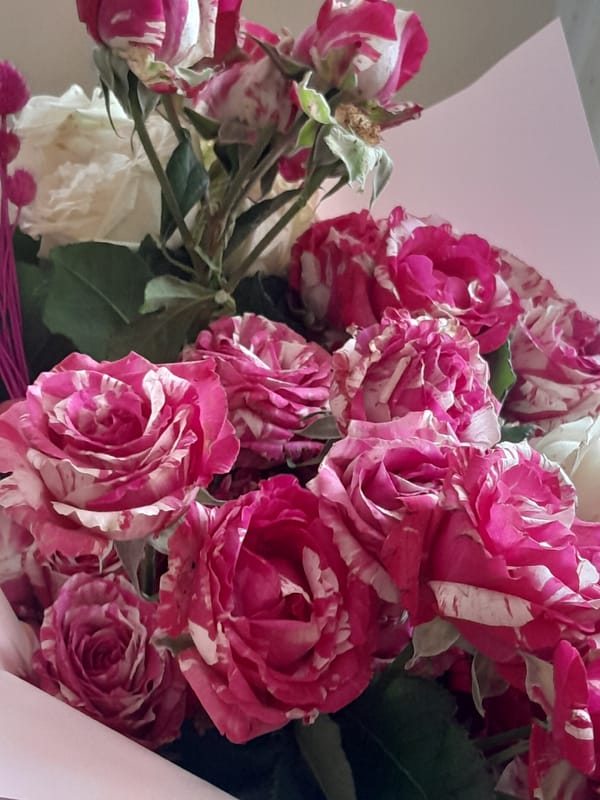 Pink and white striped roses captured in close-up bouquet