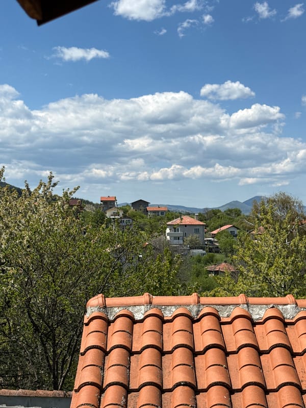 Bulgarian village gardens and rooftops documented during sunny morning