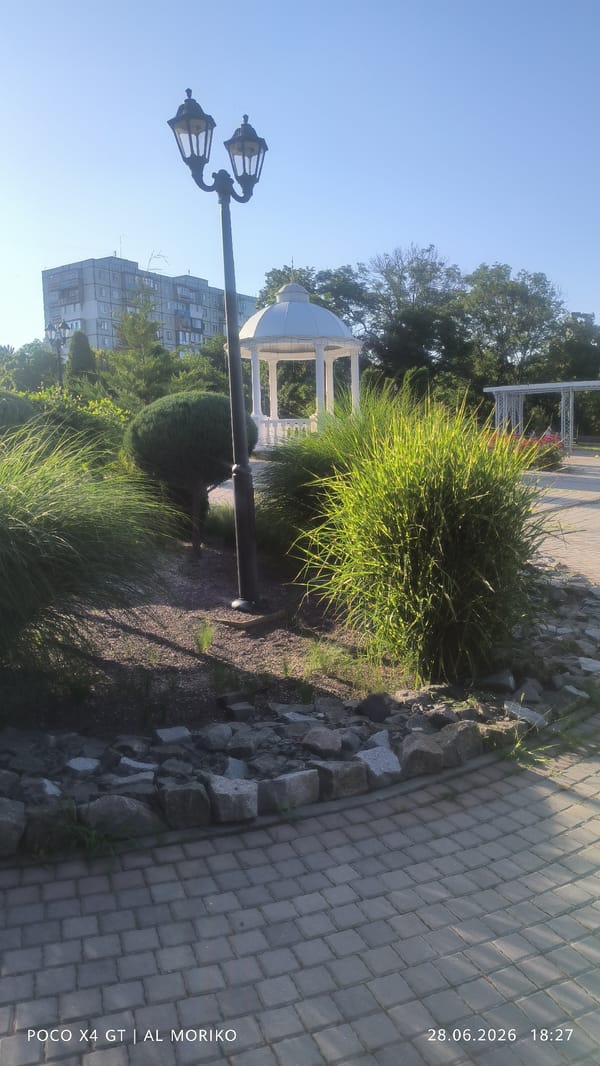 Afternoon stroll through a park with roses and a gazebo