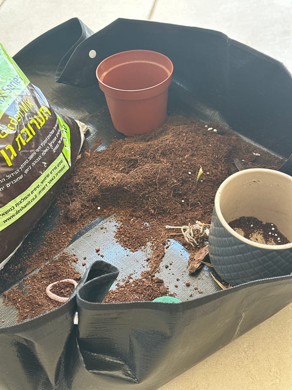 Grow bag planting setup and a '#lck' graphic, Petah Tikva