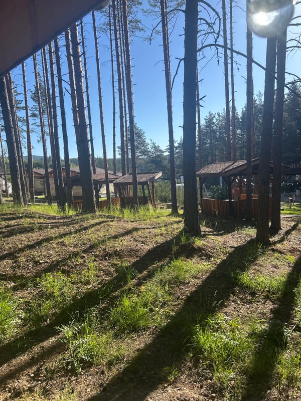 Early morning outdoor scenes documented in Alino, Bulgaria