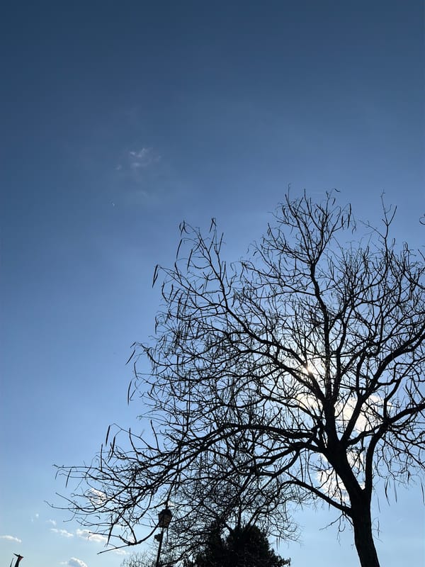 Spring scenes documented in Galabovo, Bulgaria over two hours