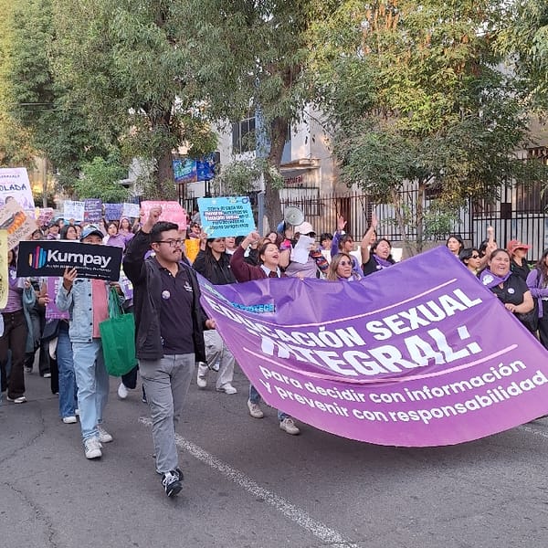 Feminist march with purple banners proceeds through Arequipa streets