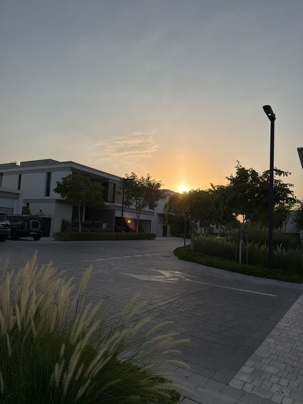 Dubai evening: sunset streets and a gym workout selfie