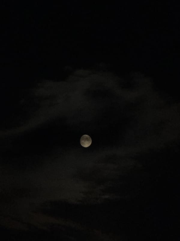 Full moon and a delivery van on a quiet Lovech night