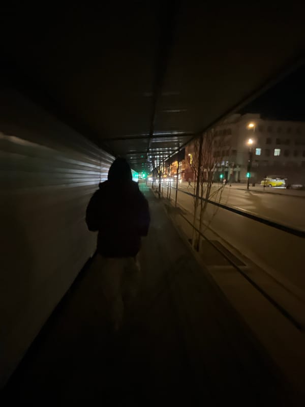 Evening urban scenes mix dining, pets, nighttime streets
