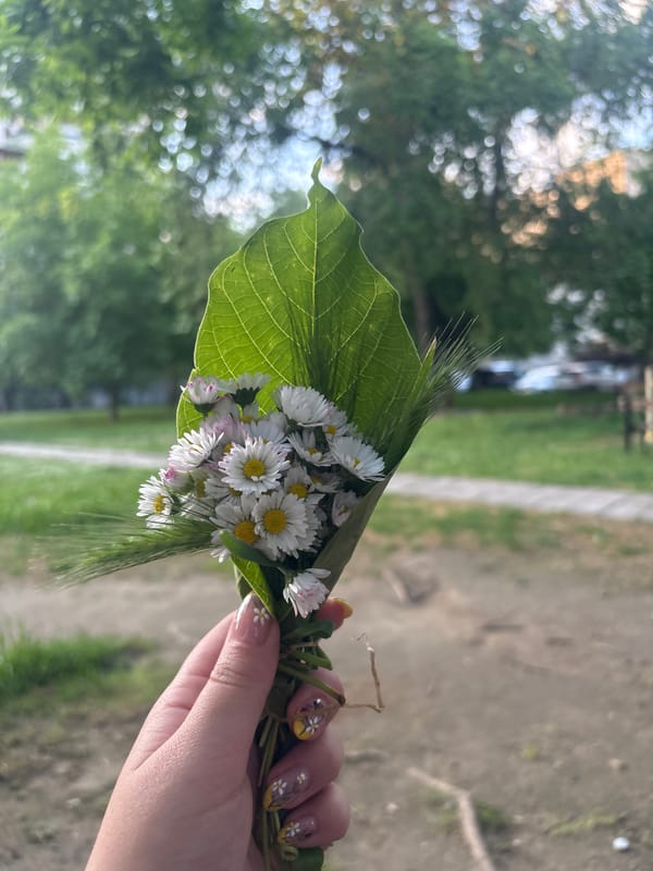 Hand-picked wildflower bouquet gathered in Plovdiv park