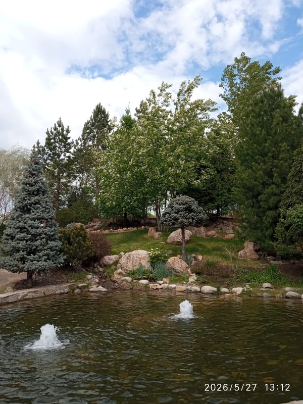 Peaceful pond with fountains observed in Krasnoyarsk park