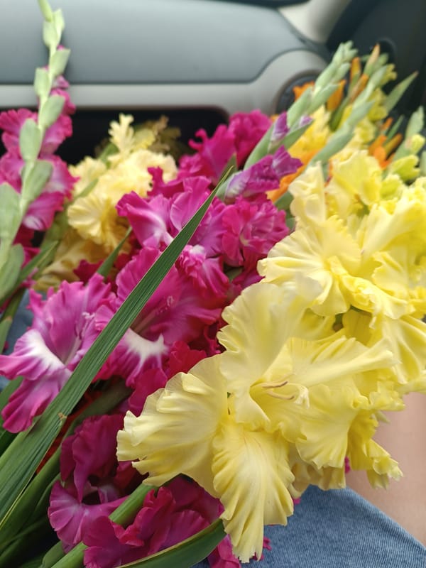 Flower close-ups and an outdoor selfie in Chaikovsky