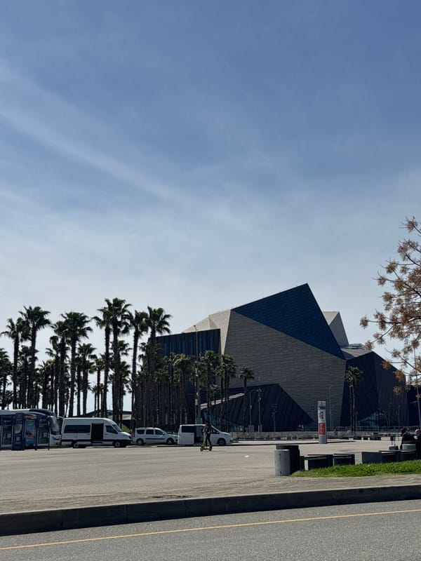 Modern building with palm trees documented in Sirius, Russia