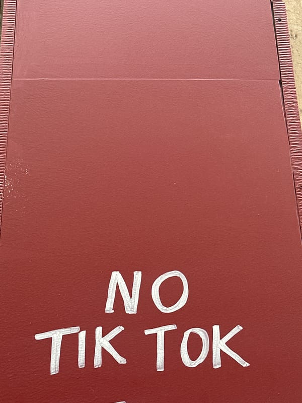 Anti-TikTok graffiti spotted on burgundy surface in Paris