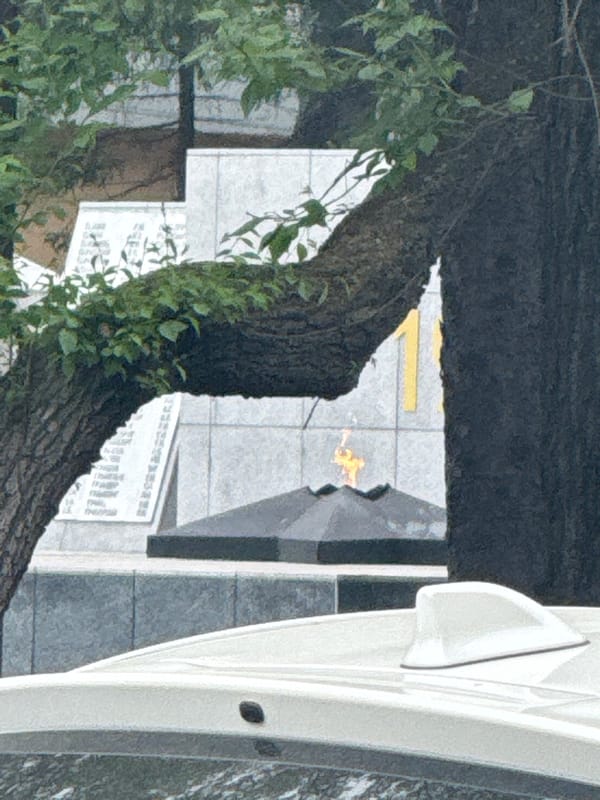 Man observed near monument in Birobidzhan street scene