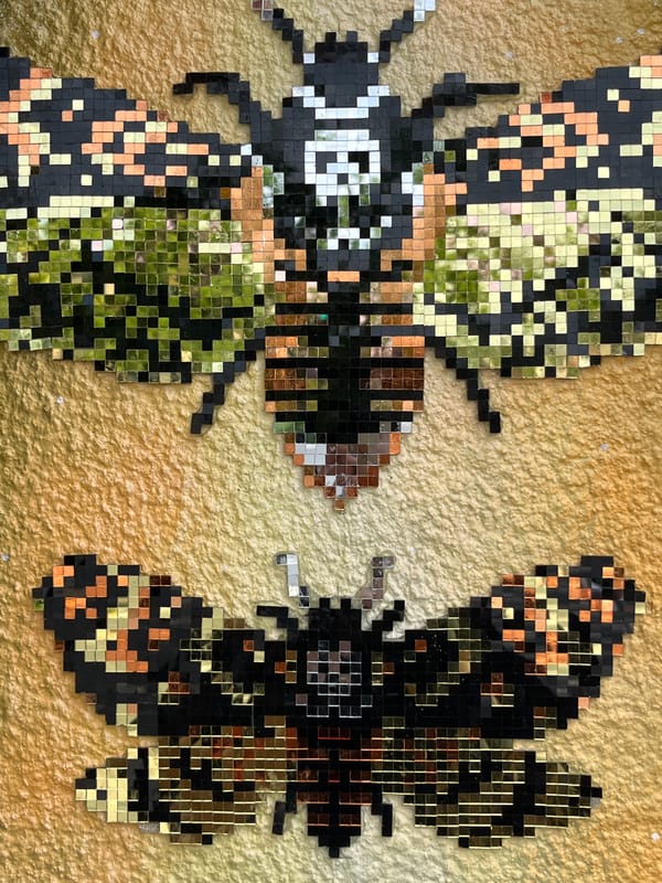 Street art featuring moths, butterflies documented in Belgrade suburb