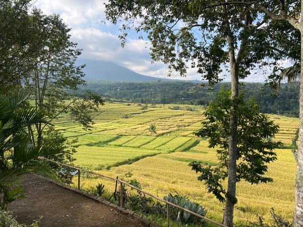 Tourist documents scenic rice terraces and cultural sites in Penebel