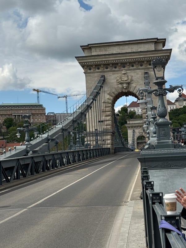 Tourist documents Chain Bridge and Budapest landmarks under cloudy skies