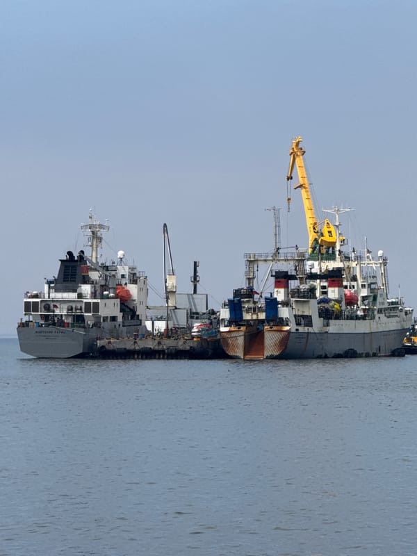 Casual harbor walk documented in Petropavlovsk-Kamchatsky, Russia