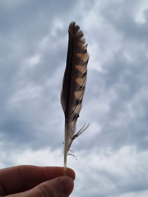 Hand holds feather against cloudy sky in Kemul, Russia