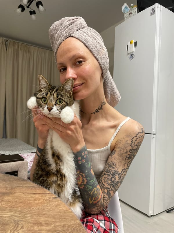Domestic pet moments captured in Russian home setting