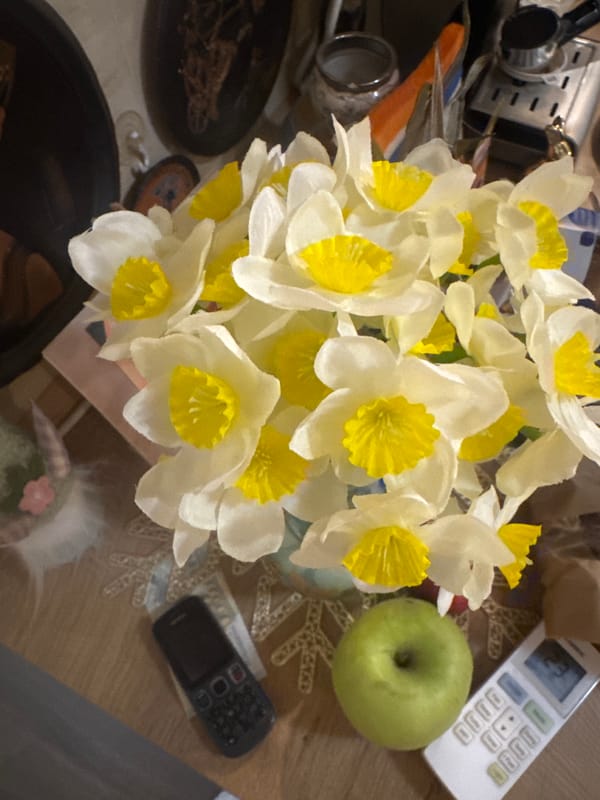 Home interior documented with flowers and meal in Montana, Bulgaria